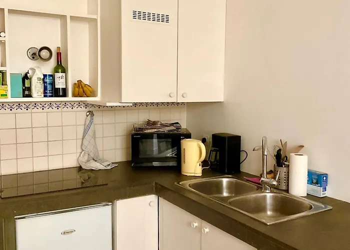 Bel Ancien Sur Cour Verdoyante Paris